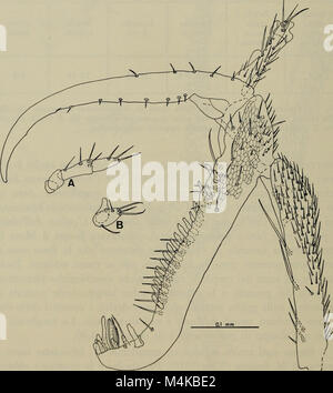Annali del Museo Civico di Storia Naturale Giacomo Doria (1974) (17789742033) Stockfoto