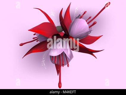 Fuchsia auf rosa Hintergrund. Eine Gruppe von Rosa und Rot fuchsia Blumen Stock Vektor
