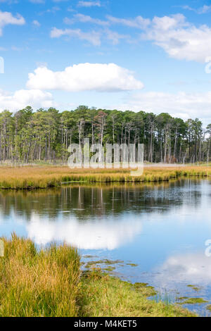 Blackwater National Wildlife Refuge in Dorchester County, Maryland Stockfoto