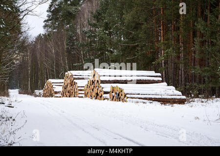 Stapel von Rundholz - Brennholz in einem verschneiten Winterwald in der Nähe der Straße Stockfoto