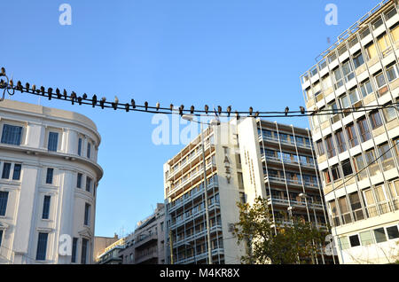 Tauben sitzen auf elektrischen Leitungen in einer ruhigen Straße in der Mitte von Athen, Griechenland Stockfoto