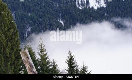 Tirol Schwaz Pillberg Österreich in der Nähe von Innsbruck - Skigebiet im Winter mit viel Schnee an einem nebligen Tag Stockfoto