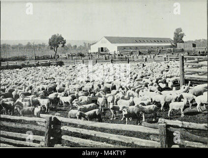 Australiens Höchster Bedarf - mit einem einleitenden Hinweis durch den Erzbischof von Brisbane (1914) (14766541045) Stockfoto