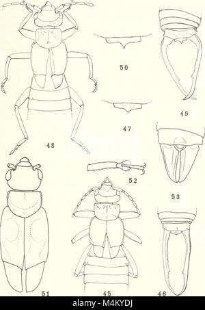 Annali del Museo Civico di Storia Naturale Giacomo Doria (1992) (17790079793) Stockfoto