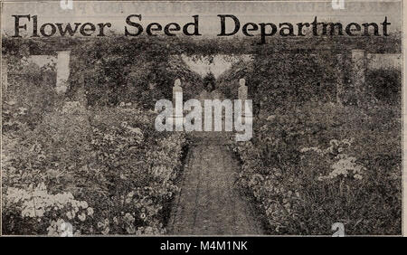Barnard's Samen, Blumenzwiebeln, Stauden 1918 (1918) (19731410274) Stockfoto