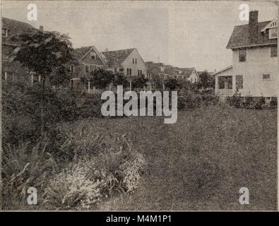 Barnard's Samen, Blumenzwiebeln, Stauden 1918 (1918) (20165836360) Stockfoto