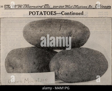 Barnard's Samen, Blumenzwiebeln, Stauden 1918 (1918) (20345518202) Stockfoto