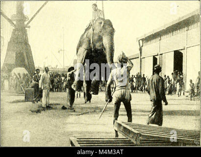 Tiere und Menschen, Carl Hagenbecks Erfahrungen für ein halbes Jahrhundert unter den wilden Tieren; (1912) (20172028529) Stockfoto