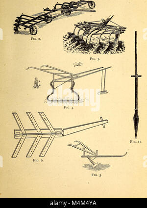 Die Annals of Horticulture in North America 1889 gibt einen jährlichen Überblick über die Entwicklung des Gartenbaus. Es zeigt Trends im Pflanzenanbau, neue Entdeckungen und Fortschritte im Gartenbau auf dem ganzen Kontinent auf. Stockfoto
