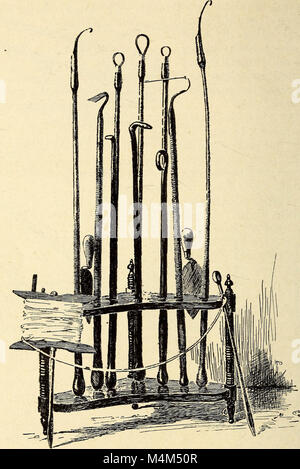 *Annals of Horticulture in North America* (1891) sammelt Veranstaltungen und Fortschritte im Gartenbau, einschließlich Fortschritte im Pflanzenanbau, landwirtschaftliche Techniken und die Entwicklung von Garten- und Landwirtschaftspraktiken in Nordamerika. Stockfoto