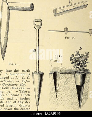 Annalen der Gartenbau in Nordamerika für das Jahr - ein Zeuge der Ereignisse und eine Aufzeichnung der Fortschritte (1891) (14597448047) Stockfoto
