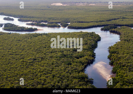 Mangrove Feuchtgebiete im Küstenbereich Mosambik Stockfoto