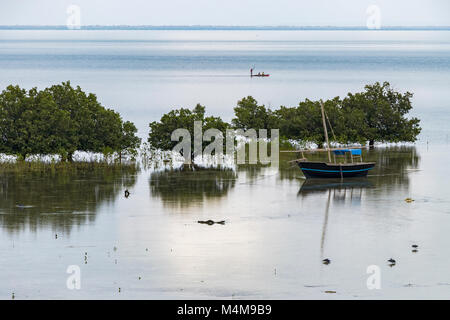 Zwei ländlichen Fischerboote und einem Fischer in Gezeiten Mund in Mosambik. Bäume sich auf dem Wasser. Stockfoto