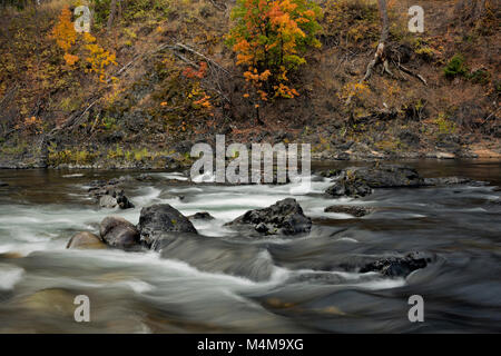 WA 13492-00 ... WASHINGTON - Herbst entlang der Ufer der Chewuch Fluss, der durch das Zentrum der Stadt Winthrop. Stockfoto