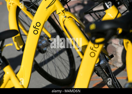 Eine Reihe von ofo Dock - weniger Fahrrad - Fahrräder in Tempe, Arizona, am 3. Februar 2018. Stockfoto