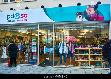 PDSA Charity Shop in Brighton, England hilft Haustiere die Pflege, die sie benötigen Stockfoto