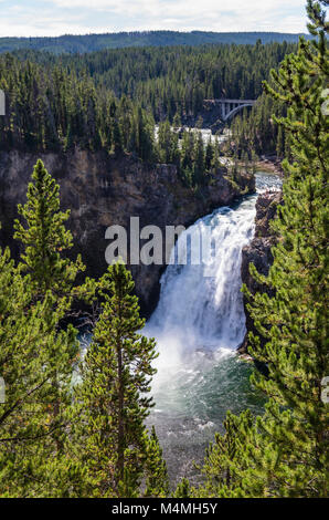 Blick auf die Upper Falls des Yellowstone River aus dem Oberen fällt Aussichtspunkt. Yellowstone National Park, Wyoming, USA Stockfoto