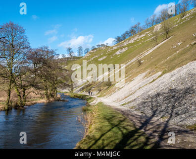 Steile Schutthänge der Wolfscote Dale im Peak District National Park mit dem Fluss Dove in Überflutung im Winter Derbyshire/Staffordshire, Großbritannien Stockfoto