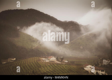 Täler und Hügel mit Weinbergen rund um den italienischen Stadt Valdobbiadene, berühmt für die Herstellung von Prosecco Sekt. Winter niedrige Wolken und Stockfoto