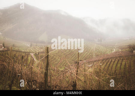 Täler und Hügel mit Weinbergen rund um den italienischen Stadt Valdobbiadene, berühmt für die Herstellung von Prosecco Sekt. Winter niedrige Wolken und Stockfoto