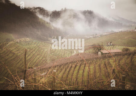 Täler und Hügel mit Weinbergen rund um den italienischen Stadt Valdobbiadene, berühmt für die Herstellung von Prosecco Sekt. Winter niedrige Wolken und Stockfoto