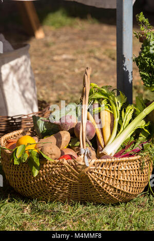 Weidenkorb von frischem Gemüse auf dem Boden vor der Tür. Stockfoto