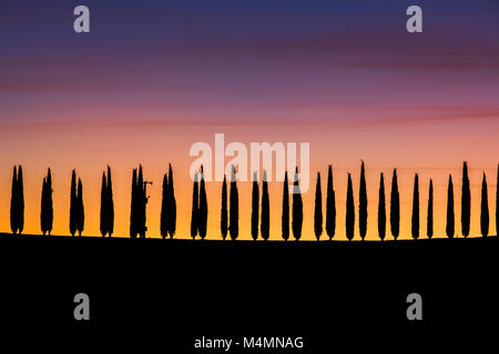 Toskana, Panoramablick auf die Landschaft mit Zypressen in wunderschönen Sonnenaufgang im Herbst, Val d'Orcia, Italien. Stockfoto