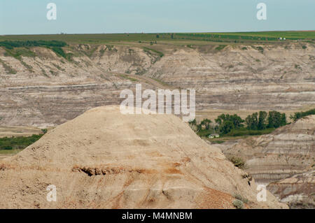 Alberta, Kanada. Badlands von horsethief Canyon, nordwestlich von Drumheller in der Red Deer River Valley im Sommer. Stockfoto