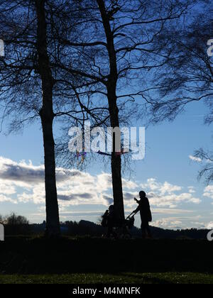 Junge Frau mit Kinderwagen im Park spazieren Stockfoto