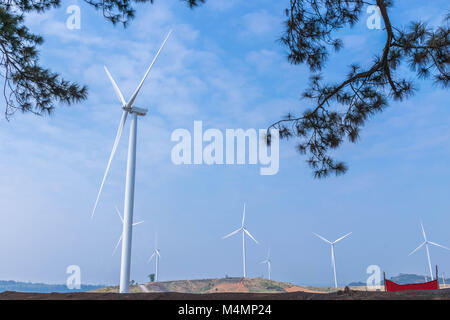 Die Windenergieanlagen zur Stromerzeugung Bauernhof mit den blauen Himmel Wolke Hintergrund und der Kiefer Zweige Blätter im Vordergrund. Stockfoto