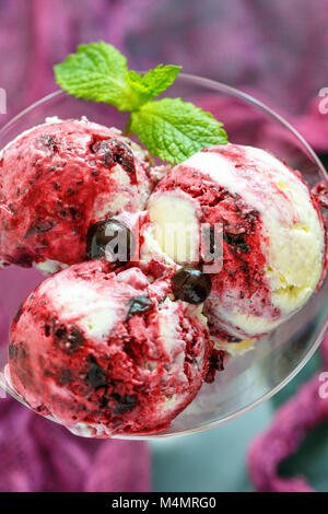 Vanilleeis mit schwarzen Johannisbeeren. Stockfoto