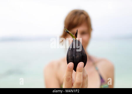 Frau im Bikini holding Kokosnuss keimen, kleinen Kokospalme in den Händen Stockfoto