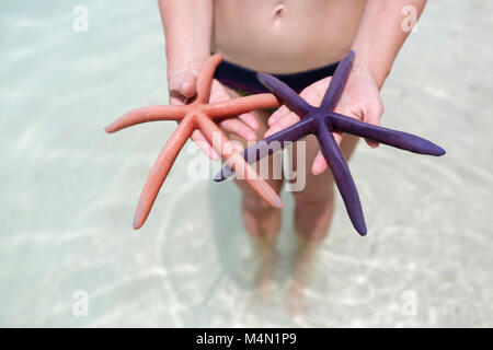 Frau, die in flachem Wasser und halten starfish Stockfoto