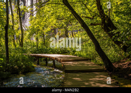 Idyllischen Wald Landschaft im Nationalpark Plitvicer Seen mit Promenade vor einem Wasserfall, Kroatien, Europa Stockfoto