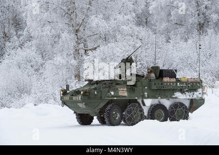 Soldaten zu Bajonett Unternehmen, 1.BATAILLON, 5 Infanterie Regiment, 1 Stryker Brigade Combat Team, 25 Infanterie Division, U.S. Army Alaska zugeordnet, für Live-fire Schießwesen Ausbildung im Betrieb Punchbowl bei Joint Base Elmendorf-Richardson, Alaska, Feb 16, 2018 vorbereiten. Betrieb der Punchbowl war ein Bataillon, kombinierte Waffen, Feuer, die auf Arktis Letalität konzentriert. (U.S. Air Force Foto von Alejandro Peña) Stockfoto