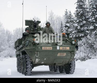 Soldaten zu Bajonett Unternehmen, 1.BATAILLON, 5 Infanterie Regiment, 1 Stryker Brigade Combat Team, 25 Infanterie Division, U.S. Army Alaska zugeordnet, für Live-fire Schießwesen Ausbildung im Betrieb Punchbowl bei Joint Base Elmendorf-Richardson, Alaska, Feb 16, 2018 vorbereiten. Betrieb der Punchbowl war ein Bataillon, kombinierte Waffen, Feuer, die auf Arktis Letalität konzentriert. (U.S. Air Force Foto von Alejandro Peña) Stockfoto