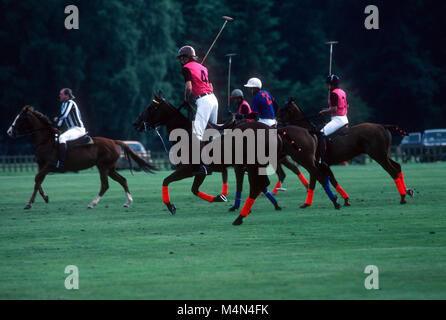 Polo Match, Windsor Great Park, Windsor, England. Stockfoto