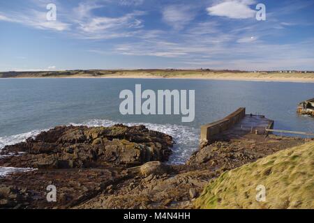 Port Erroll, viktorianischen Angeln und Freizeit Hafen, an einem sonnigen Wintertag. Cruden Bay, Aberdeenshire, Nordostschottland, UK. Stockfoto