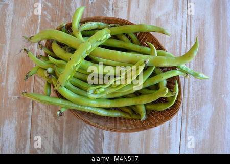 Frisch gepflückte grüne Bohnen in einem Korb Stockfoto