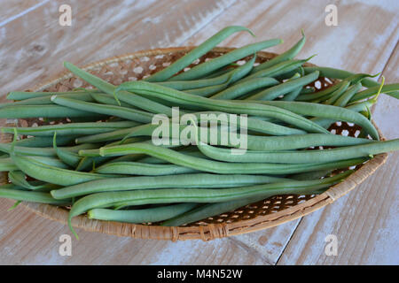 Frisch gepflückte grüne Bohnen in einem Korb Stockfoto