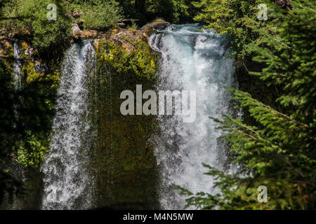 Koosah fällt auf die McKenzie River in Oregon Stockfoto