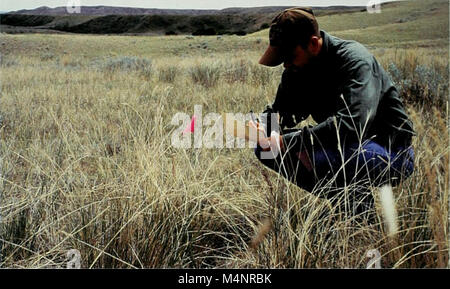 Best Management Practices zur beweidung Montana (1999) (20367195035) Stockfoto