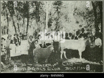 Zweijahresbericht der Schulaufsichtsbehörde, Zustand von Montana (1916) (14759071716) Stockfoto