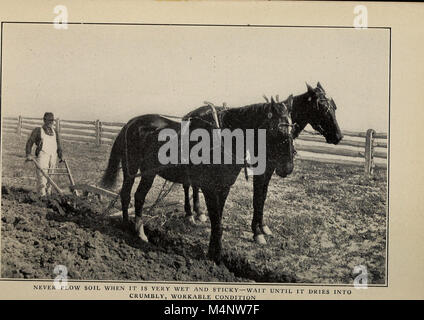 „Biggle Garden Book“ (1908) bietet praktische Ratschläge für den Anbau von Gemüse, kleinen Früchten und Blumen, wobei der Schwerpunkt auf Gartenarbeit liegt, sowohl für Spaß als auch für Gewinn. Stockfoto