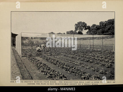 Das 1908 Biggle Garden Book bietet umfassende Ratschläge zum Anbau von Gemüse, kleinen Früchten und Blumen und betont sowohl ästhetische als auch wirtschaftliche Vorteile für Gärtner. Stockfoto
