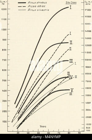 Biologie der Rost Widerstand im Wald Bäume - Klage eines NATO - IUFRO Advanced Study Institute, August 17-24, 1969 (1221) (20194663340) Stockfoto