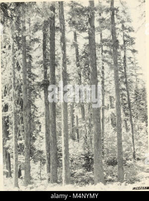 Biologie der Rost Widerstand im Wald Bäume - Klage eines NATO - IUFRO Advanced Study Institute, August 17-24, 1969 (1221) (20196213909) Stockfoto