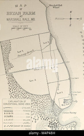 Vögel von einem Maryland Farm - Eine lokale Studie der wirtschaftlichen Ornithologie (1902) (14771834093) Stockfoto