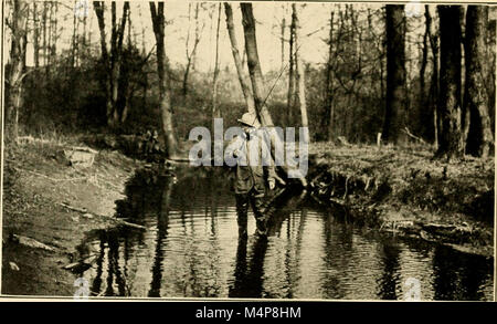 Bloomfield, Alt und Neu - eine historische Symposium (1912) (14594593197) Stockfoto