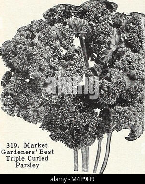 Bolgiano in Capitol City Seeds - 1960 (1960) (20390498635) Stockfoto